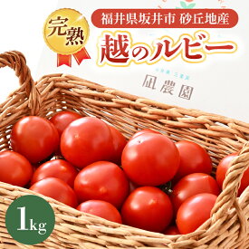 【ふるさと納税】【先行予約】 完熟越のルビー 1kg 福井県坂井市砂丘地産 農家直送 【2026年10月上旬以降順次発送予定】 とまと トマト ミディトマト 華小町 野菜 生野菜 美容 健康 新鮮 産地直送 国産