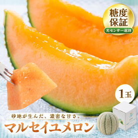 【ふるさと納税】【先行予約】 マルセイユメロン (赤肉) 1玉 糖度15度以上 三里浜砂丘地産 糖度保証 【2027年6月上旬以降順次発送予定】 メロン めろん フルーツ デザート 果物 くだもの 果実 糖度 甘い 産地直送 国産