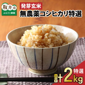 【ふるさと納税】【令和5年産】【発芽玄米】 無農薬コシヒカリ「特選」 特別栽培米使用 1袋 / 2袋 / 3袋 / 5袋 (2kg～10kg) 【選べる個数】【無洗米 米 こしひかり 玄米 ギャバ GABA 無農薬 特別栽培 食物繊維 栄養 真空パック ごはん ご飯 おいしい ふるさと納税米】