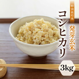 【ふるさと納税】【令和7年産】発芽玄米 特別栽培米 コシヒカリ 3kg 【米 玄米 こしひかり ギャバ GABA 特別栽培 食物繊維 栄養 真空パック ごはん ご飯 おいしい ふるさと納税米】