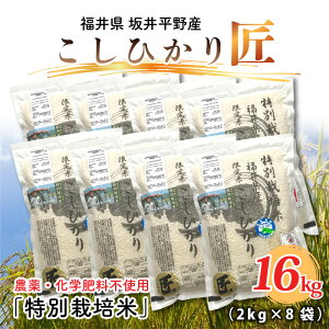 yӂ邳Ɣ[Łzyߘa7NYzʍ͔| RVqJ 16kg(2kg × 8) ͔|Ԓ_sgp / RVqJ Ђ   