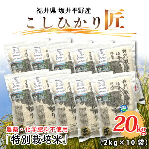 yӂ邳Ɣ[Łzyߘa7NYzʍ͔| RVqJ 20kg (2kg × 10) ͔|Ԓ_sgp / RVqJ Ђ   