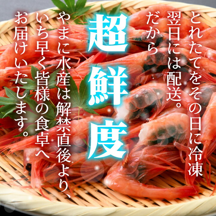 6800円 最大60%OFFクーポン ふるさと納税 国東市 香ばしさ抜群の焼きえび 6袋 _1565R 6800円 最大60%OFFクーポン ふるさと納税 国東市 香ばしさ抜群の焼きえび 6袋 _1565R