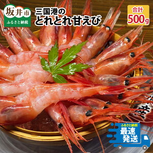 甘エビ 冷凍の人気商品 通販 価格比較 価格 Com