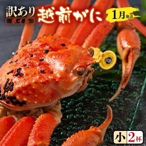 yӂ邳Ɣ[Łzys\zy󂠂zl䥂łw܂󂠂zOɁij2t (1t萶̏ԂŖ350`400g) ܂Ɏd݁y2025N11`2026N3zyzOKj YCKj 