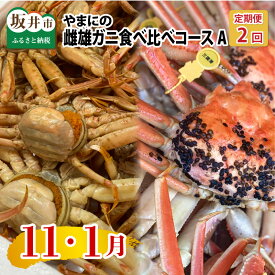 【ふるさと納税】【先行予約】【年2回お届け】 やまにの雌雄ガニ食べ比べ コースA【2025年11月中旬以降順次発送予定】