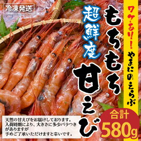 【ふるさと納税】【先行予約】 高評価★4.92 【訳あり】 坂井市産 福井県産 とれたて三国港 やまにの選ぶ もちもち甘えび 580g / 1kg 【坂井市産 福井県産 国産 海老 アマエビ 甘海老 殻付き わけあり ワケアリ 冷凍便】