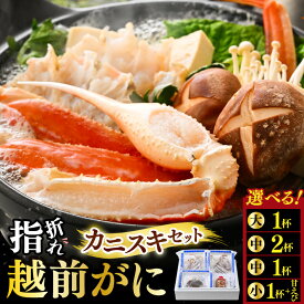 【ふるさと納税】【先行予約】【訳あり】超うまい!!指折れ越前がに カニスキセット やまに仕込み 【選べる内容量】 ※12月発送不可【2026年11月中旬～2027年3月発送】【越前ガニ ズワイガニ 傷 足折れ 国産 県産 カニ かに 】