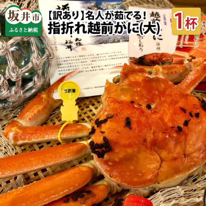 ふるさと納税】【先行予約】 訳あり≪茹で≫越前ズワイ蟹(小) 2杯 