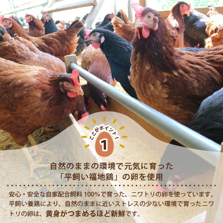 楽天市場 ふるさと納税 にわとり農家の卵プリン かぼちゃ 6個セット かぼちゃプリン カボチャプリン ギフト お中元 プレゼント 福井県坂井市 楽天市場 ふるさと納税 にわとり農家の卵プリン かぼちゃ 6個セット かぼちゃプリン カボチャプリン ギフト お中元 プレゼント 福井県坂井市