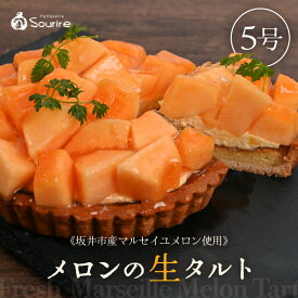 【ふるさと納税】【先行予約】【数量限定】サクサク食感 マルセイユメロンのフレッシュタルトケーキ 5号：直径15cm (4〜5人前) 850g 【2026年6月より順次発送】【メロン めろん ケーキ メロンケーキ ホール スイーツ デザート 果物 フルーツケーキ 洋菓子 贈答 ギフト】