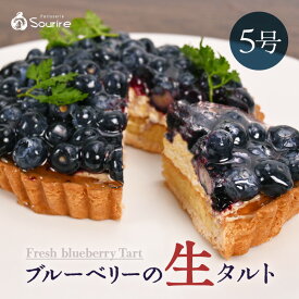 【ふるさと納税】【先行予約】【数量限定】サクサク食感 ブルーベリーのフレッシュタルトケーキ 5号：直径15cm (4〜5人前) 850g 【選べる発送月】【ブルーベリー ケーキ 生タルト 果物 くだもの ホール たると スイーツ デザート ベリー フルーツケーキ 洋菓子 贈答 ギフト】