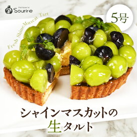 【ふるさと納税】【先行予約】【数量限定】サクサク食感 シャインマスカットのフレッシュタルトケーキ 5号：直径15cm (4〜5人前) 850g 【選べる発送月】 シャインマスカット マスカット ケーキ ホール スイーツ デザート 果物 フルーツケーキ 洋菓子 贈答 ギフト スリール