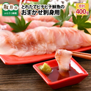 【ふるさと納税】とれピチ鮮魚のおまかせ刺身用 200g×2種 〜越前三国港 漁船「神力丸」 船長がお届け!〜