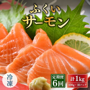 yӂ邳Ɣ[Łzy6A͂zӂT[ 1kg (hgp) ^Ⓚ 100g× 10pbN × 6yT[  hg  TP   lC CN CNHi  hgp Hp H 