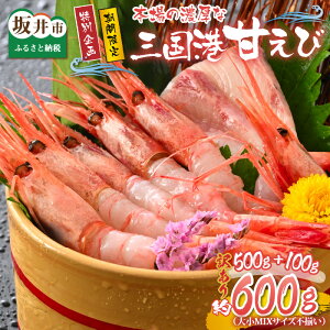 yӂ邳Ɣ[Łz yʊzy󂠂zO`YnIuO`Âсv 500g + 100g v600g yÃGr ܂ A}Gr 킯 PA Z Â hg H  Ⓚ L V