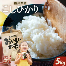 【ふるさと納税】数量限定！【令和5年産】米 福井県産コシヒカリ5kg【白米・玄米選択可】【選べる精米具合】～本原農園からまごころコメて～ 【お米 こしひかり 白米 玄米 5キロ 選べる ブランド米 ごはん おいしい ふるさと納税米 産地直送 農家直送 楽天スーパーセール】