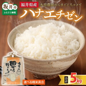 yӂ邳Ɣ[Łzys\zyߘa8NYEVāzyāEđIz niG`[5kg × 1 `{_܂Rā` y2026N9{ȍ~\zy   ͂