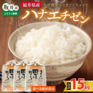 yӂ邳Ɣ[Łzys\zyߘa8NYEVāzyāEđIz niG`[15kg(5kg×3) `{_܂Rā` y2026N9{ȍ~\z/   