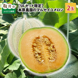 楽天市場 マルセイユ メロン 福井の通販