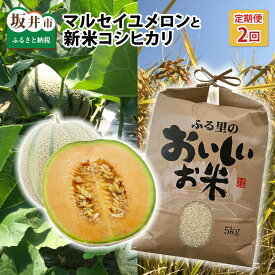 楽天市場 マルセイユ メロン 福井の通販 楽天市場 マルセイユ メロン 福井の通販