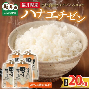 yӂ邳Ɣ[Łzys\zyߘa8NYEVāzyāEđIz niG`[20kg(5kg×4) `{_܂Rā` y2026N9{ȍ~\z/   