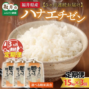 yӂ邳Ɣ[Łzys\zyߘa8NYEVāz 3A͂ yāEđIz niG`[15kg×3 v45kg `{_܂Rā` y2026N9{ȍ~