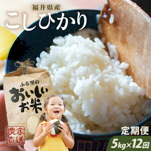 yӂ邳Ɣ[Łzyߘa7NYzy_ƒ 12R[Xz {_̂܂R 䌧Y RVqJ 5kg × 12 v60kg /  Ђ 