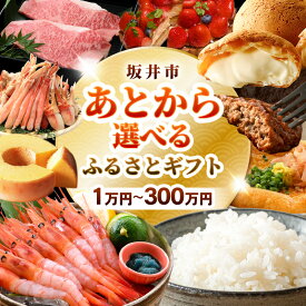 【ふるさと納税】坂井市 あとからセレクト 【ふるさとギフト】1万円～300万円 お米 コシヒカリ 海鮮 魚介類 甘えび 若狭牛 家具 アウトドア用品 肉 優待券 宿泊券 旅行 チケット ゆっくり選べる あとから選べる ふるさと納税 カタログギフト