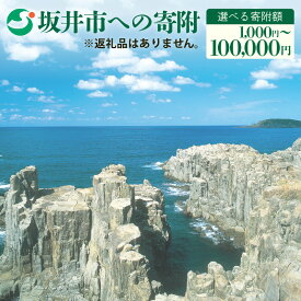 【ふるさと納税】坂井市への寄附（返礼品はありません）＜選べる寄附額 1,000円 5,000円 10,000円 50,000円 100,000円＞ 寄附のみ 返礼品なし 支援 応援