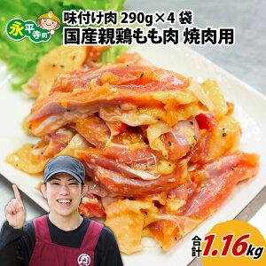 yӂ邳Ɣ[Łzt Ye{ ēp 290g×4܁iv1.16kgj l ȒP ē W[V[ { { BBQ o[xL[    i OcX 