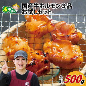 yӂ邳Ɣ[ŁzYz3i Zbg 500g / i OcX z lߍ킹 ē o[xL[ BBQ   