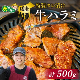 【ふるさと納税】国産 特製タレ漬け牛ハラミ 250gx2パック (計500g) l 国産 肉 ハラミ 焼肉 BBQ ビーフシチュー バーベキュー 本格 真空パック お取り寄せ グルメ 冷凍 真空パック アウトドア お取り寄せ お試し 永平寺町 前田かしわ店　送料無料
