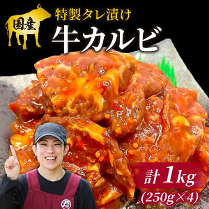 yӂ邳Ɣ[ŁzBY ^ЂJr 250gx4pbNiv1kgj l Y  Jr ē BBQ r[tV`[ o[xL[ {i ^pbN  O Ⓚ ^pbN AEgh