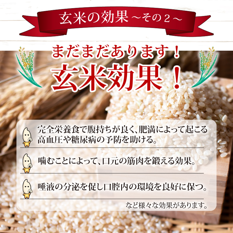 格安 令和5年度産 永平寺町産 農薬不使用・化学肥料不使用 特別栽培米