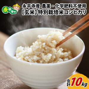 yӂ邳Ɣ[Łzys\zyāz ߘa7NxY iY _sgpEw엿sgp ʍ͔| RVqJ 10kg y10菇Jn\z/ _  ͂ 