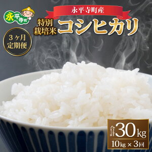 yӂ邳Ɣ[Łzys\zy3ցzyāz ߘa7NxY iY _sgpEw엿sgp ʍ͔| RVqJ 10kg×3 v30kg 10{菇 Еz _ 