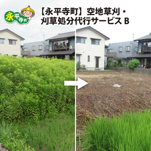 yӂ邳Ɣ[Łzi nEsT[rX B