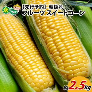 yӂ邳Ɣ[Łzys\ziŶt[cXC[gR[I@xy2026N7菇z [A-050001] / i  {  Ƃ낱 gERV R[ 