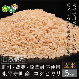 【ふるさと納税】【令和7年産】自然栽培米 永平寺町産 コシヒカリ【玄米】5kg / ご飯 ごはん お試し 無農薬