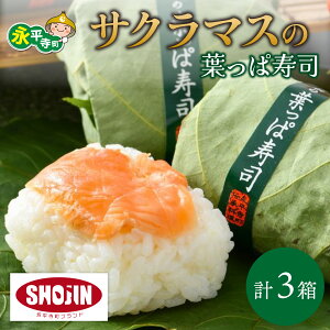 yӂ邳Ɣ[Łz΂yY TN}X̗tώi 3×3 }X i Mtg v[g yY 蕨  p 3 3 70g 70g×3 3  i i [B-06