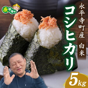 yӂ邳Ɣ[Łzys\zyāzߘa7NxY iѓY RVqJ 5kgy2025N10{ȍ~Jn\zӂ邳Ɣ[  䌧 i     ͂ 