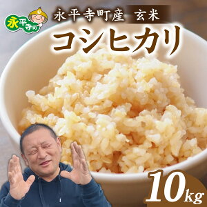 yӂ邳Ɣ[Łzys\ V 25N10{ȍ~\zyāz i ѓY RVqJ 10kgЂ@10kg 10L ӂ邳Ɣ[  䌧 i     