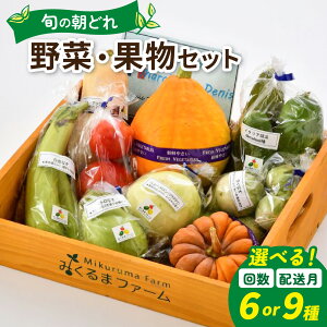 yӂ邳Ɣ[ŁzyIׂ1`3zyIׂ 6ރZbgE9ރZbgzǂ {Ȗ ʕZbgy1Pցzy2`3ցzy͂Ώی 5,8,11z/ _Ew엿s