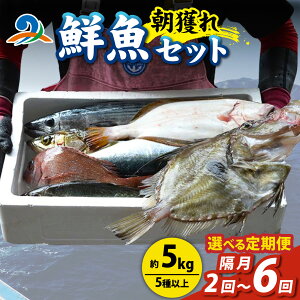 yӂ邳Ɣ[ŁzyցzyIׂց@u2`6zylztI NZbg () 5ވȏ 5kg^  lߍ킹 VN ϕ Ă  hg ӎ H tBBQ ① u 
