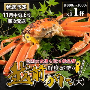 yӂ邳Ɣ[ŁzzO  i800g`1000gj 1ty11`1220\z / Y YCKj 킢 YCI zOKj {C ① p Jj Ԃ CN Jj Jj 