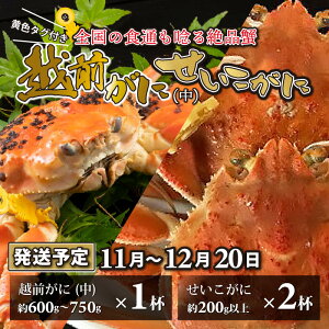 yӂ邳Ɣ[ŁzzO  i600g`750gj 1t E 2t v3ty11`1220\z / Y  YCKj 킢 YCI ZCRKj I ZRKj zOKj {C 