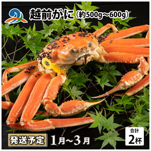 yӂ邳Ɣ[Łzys\zzOɁi500g`600gj 2ty2025N1`3\z / Y YCKj 킢 YCI zOKj {C ① p Jj Ԃ CN Jj 