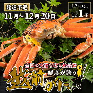 yӂ邳Ɣ[ŁzzO  i1.3kgȏj 1ty11{菇\z/ Y YCKj 킢 YCI zOKj {C ① p Jj Ԃ CN Jj Jj 