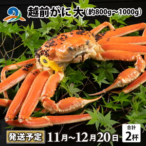 yӂ邳Ɣ[Łzys\zzO  i800g`1000gj 2ty11`1220\z/ Y YCKj 킢 YCI zOKj {C ① p Jj Ԃ CN Jj